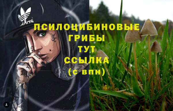 кокс Абдулино