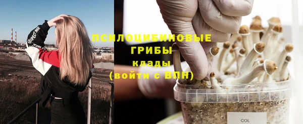 кокс Абдулино