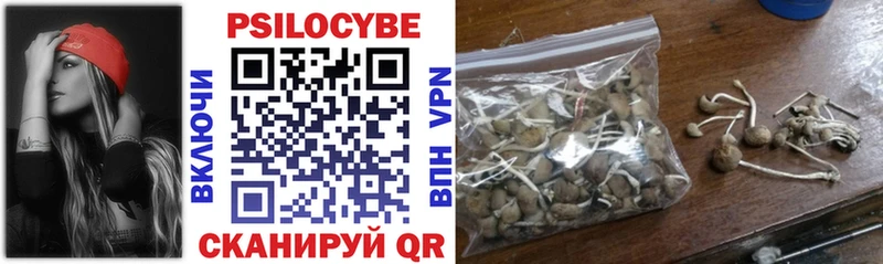 наркошоп  Зеленодольск  Псилоцибиновые грибы Psilocybe 
