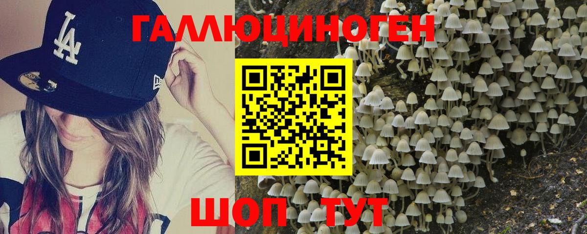 Галлюциногенные грибы ЛСД Зеленодольск