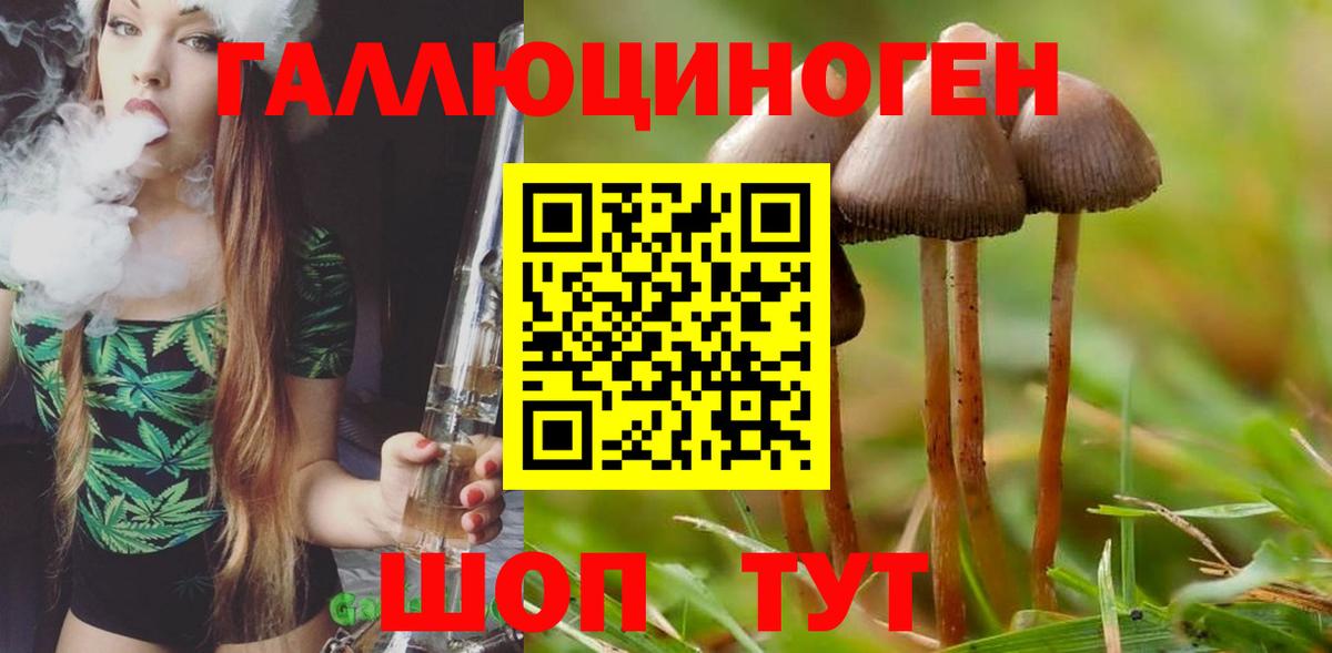 Галлюциногенные грибы прущие грибы  наркота  Зеленодольск  Вход с VPN  Галлюциногенные грибы мухоморы 